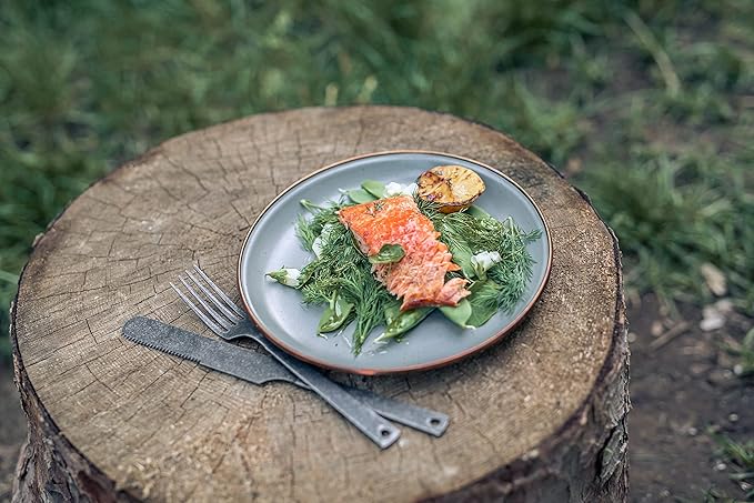Barebones 8 Inch Salad Plate - Set of 2 Salad Plates - Enamelware Plates - Durable Kitchen or Camping Plate (Slate Gray)