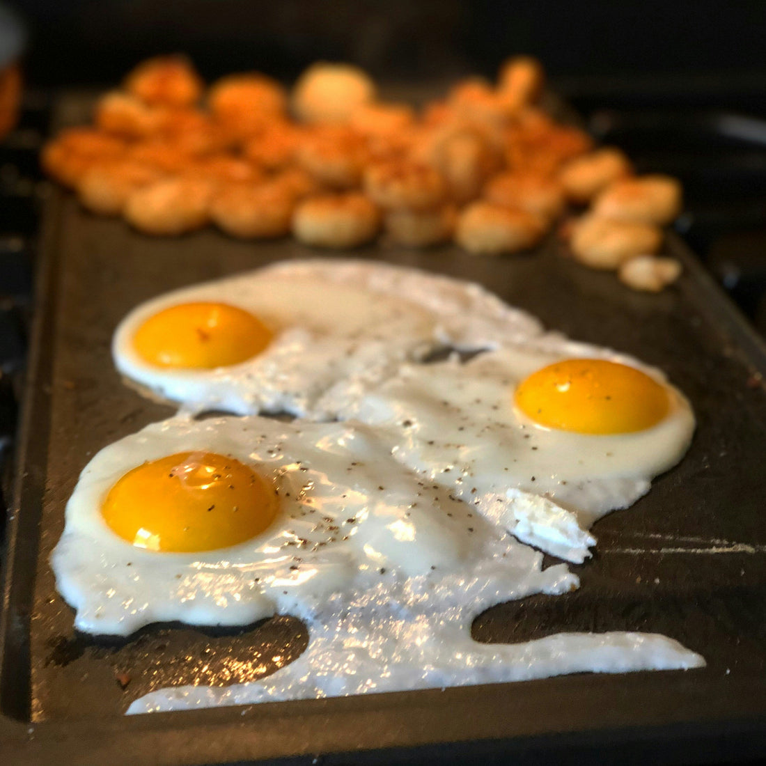 [CAMPMENT] The "Polymerization Layer": How to season a cast iron camping griddle so it stays non-stick