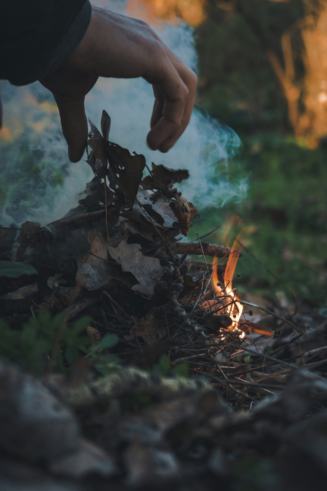 [CAMPMENT] The "Pine Cone Fire Starter": How to ignite wet campfire wood naturally without chemical accelerants
