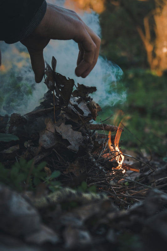 [CAMPMENT] The "Pine Cone Fire Starter": How to ignite wet campfire wood naturally without chemical accelerants