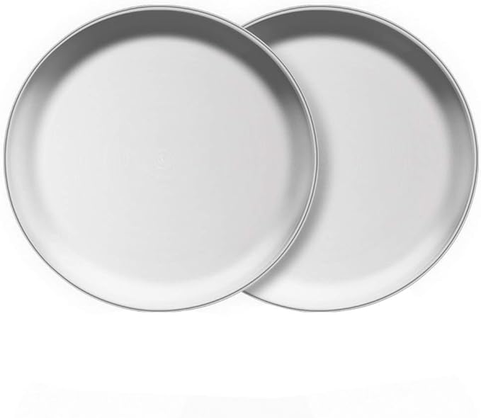 Steel Plates 2 Set 8 Inch Metal Round Dinner Plate Dishes for Serving/Snack/Camping, Dishwasher Safe Metal Dinner Plate