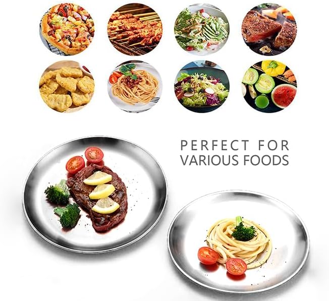 Stainless Steel Plates,2 Pcs 10 Inches Dinner Platess Camping Plate,Perfect for Snack Candy Pizza Fruit Camping Etc.Reusable and Dishwasher Safe (2, 10 inches)