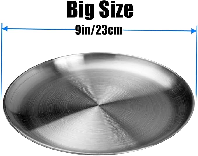 CAMBUY Stainless Steel Plates 9 inch 304 Metal Lightweight Unbreakable Dinner Dishes Plates Set Non-Toxin Dishwasher Safe BPA Free and Healthy (10 Pcs)
