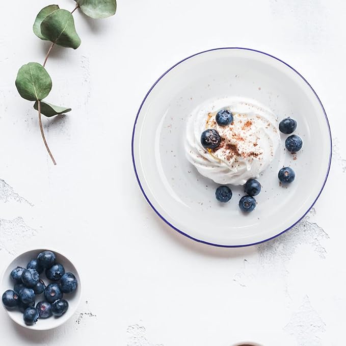 Dicunoy Set of 5 Enamel Plates, 9.5" Unbreakable Enamelware Dinner Serving Platter Trays, Retro White Round Shallow Bowls with Blue Rim for Pasta, Salad, Camping, Outdoor, Picnic, BBQ