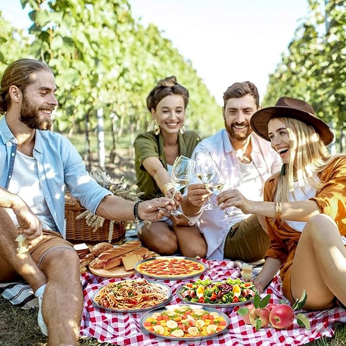 Stainless Steel Plates 2 Set Metal Dinner Dishes 9 Inch Unbreakable Dinner Plates Great for Snack,Nut,cake Picnic, Outdoor Camping Plate - Shatterproof Dishwasher Safe