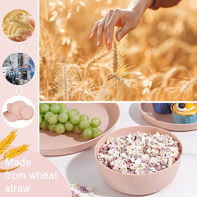 EI 12pcs Pink Wheat Straw Plates,Wheat Straw Dinnerware Set for 4,Plates and Bowls Sets,Plastic Plate Reusable,Unbreakable Plastic Plate Melamine,Camping Family Dishes Set