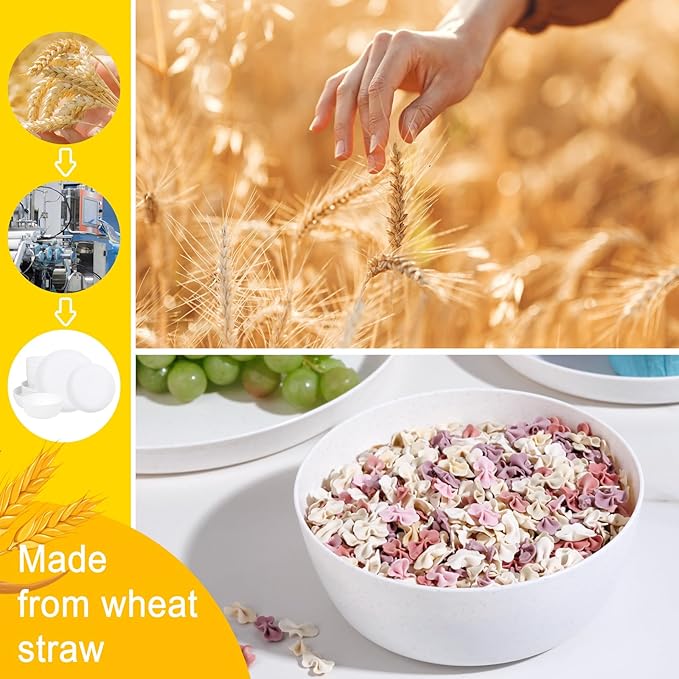 EI 12pcs White Wheat Straw Plates,Wheat Straw Dinnerware Set,Plates and Bowls Sets,Unbreakable Plastic Plate,Plastic Plates Reusable,Dinner Plates Set of 4,Plastic Dishes Set