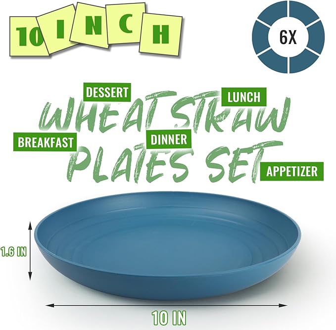 Unbreakable Plastic Plates Set of 6, 10 Inch Deep Dish Plates, Lightweight Reusable Dinner Plates Microwave & Dishwasher Safe for Camping, Party, Dark Blue
