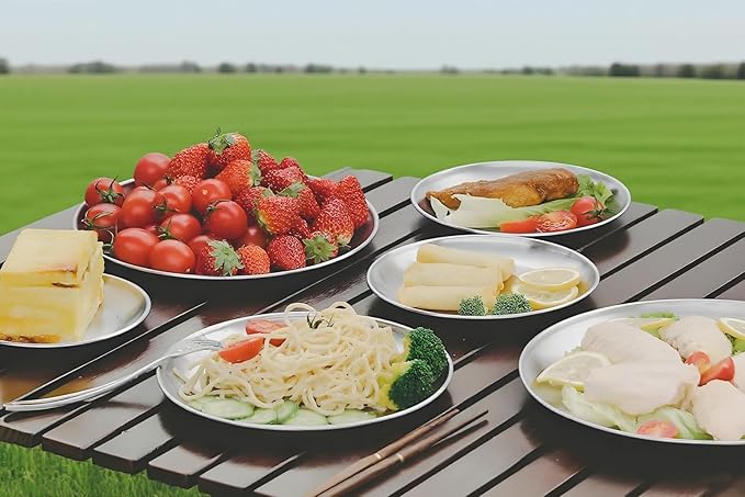 Small Stainless Steel Plates,5 Pcs 5.5 Inchs Dinner Dishes Plates Camping Plate,Perfect for Snack Candy Cake Dessert Fruit Camping Etc Reusable and Dishwasher Safe (5, 5.5 inches)