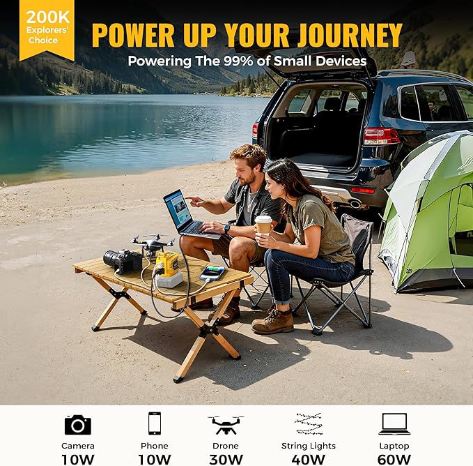 LIVOWALNY 200W-250W Power Inverter Compatible with DeWALT 20V Battery (Battery Not Included), DC 20V to AC 110V-120V Portable Power Inverter, 1 AC Outlet, 2 USB Ports & 1 Type-C Port, LED Work Light