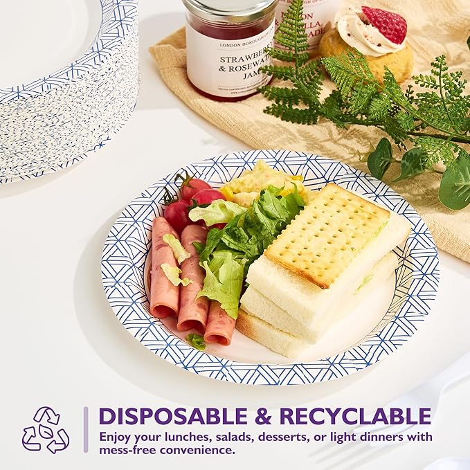 Disposable Paper Plates 8.5 Inch 300 Count, Soak Proof and Cut Resistant Heavy Duty Paper Plates Bulk for Parties, Picnics, Camping, and Everyday Meals