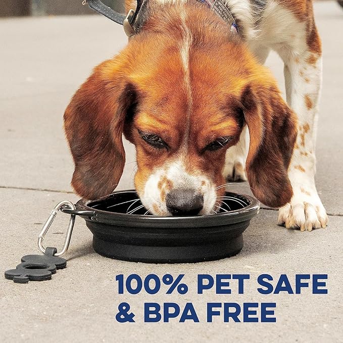 Bonza Collapsible Dog Bowls - Small 12 oz, Dog Travel Accessories, Silicone Portable Dogs Bowl & Water Dish with Reinforced Rim & Carabiner for Hiking, Camping, and Car Trips, Navy Blue