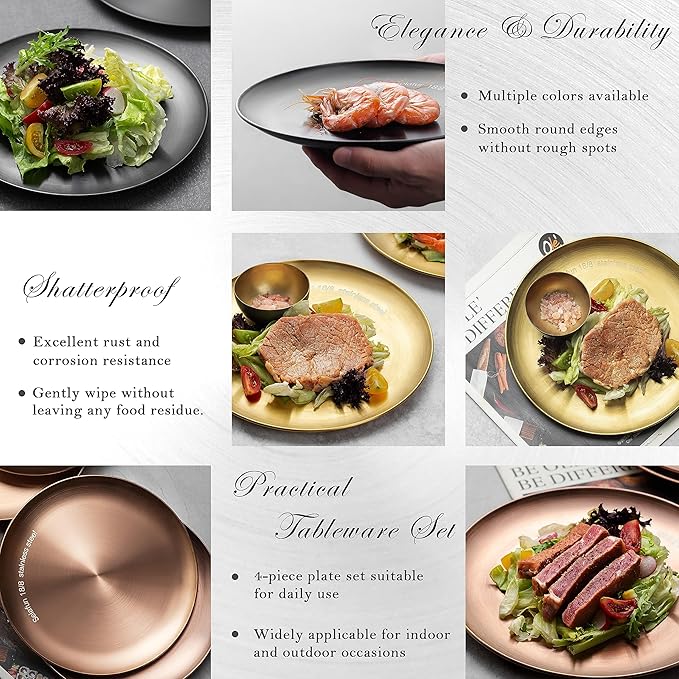 Stainless Steel Dinner plates, 10 inch Round, Set of 4, Dishwasher Safe (Black)