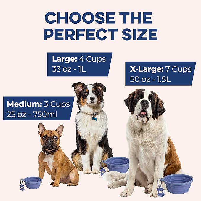 Bonza Collapsible Dog Bowls - X-Large 50 oz, Dog Travel Accessories, Silicone Portable Dogs Bowl & Water Dish with Reinforced Rim & Carabiner for Hiking, Camping, and Car Trips, Light Gray