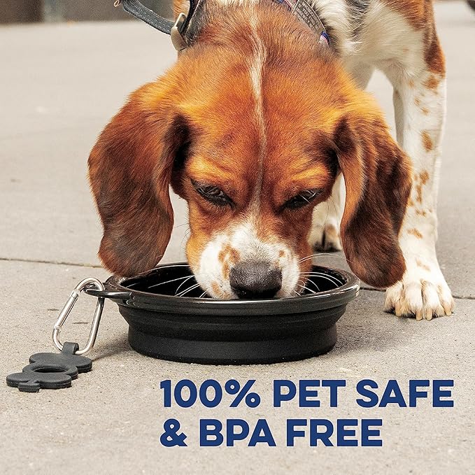 Bonza Collapsible Dog Bowls - X-Large 50 oz, Dog Travel Accessories, Silicone Portable Dogs Bowl & Water Dish with Reinforced Rim & Carabiner for Hiking, Camping, and Car Trips, Light Gray